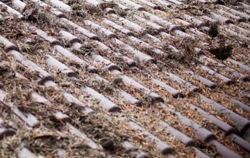 Ferney Green roof cleaning companies