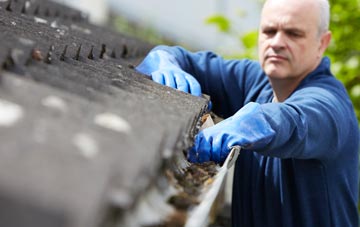 cleaning and inspecting Ferney Green roofs